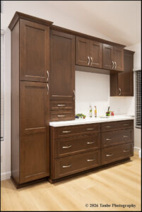 N Scottsdale Whole Home Remodel